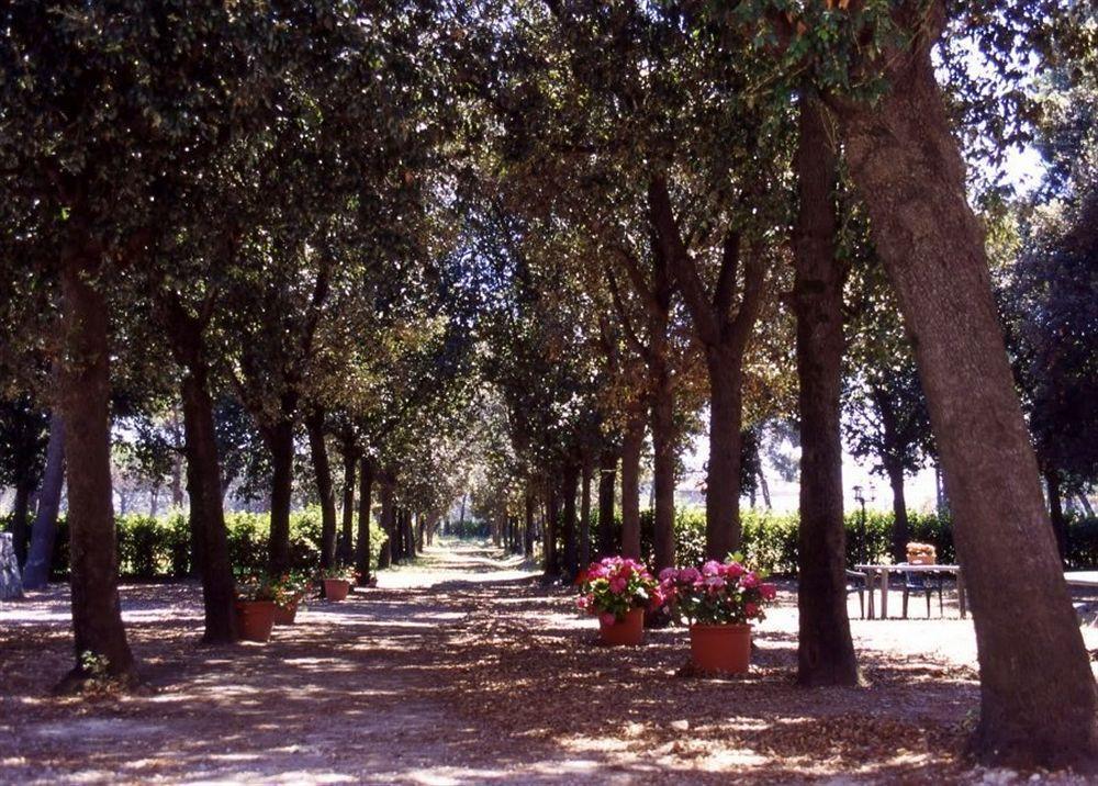 Razza Del Casalone ξενώνας Γκροσέτο Εξωτερικό φωτογραφία